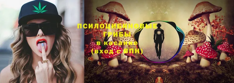 хочу   Белогорск  blacksprut   Галлюциногенные грибы Psilocybe 